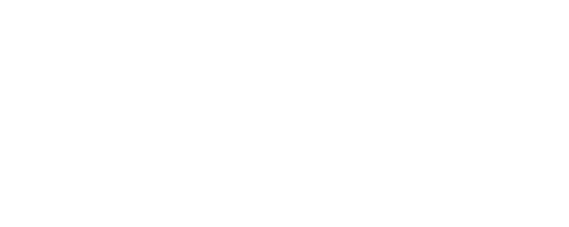 A theme logo of Southern Seas Seafood